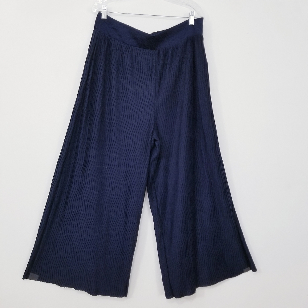Anthropologie Pleated High Rise Wide Leg Pants